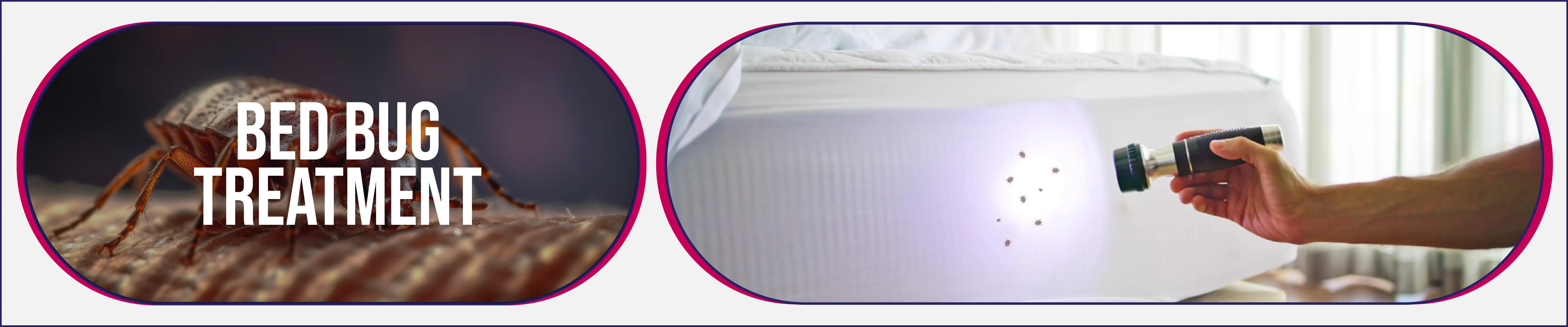 carpet cleaning in the westchester, carpet cleaning in the westchester, carpet cleaning the westchester, carpet cleaners in the westchester, carpet cleaners in the westchester, commercial carpet cleaning, commercial carpet cleaning in the westchester, the westchester rug cleaners, rug cleaning services in the westchester, same day carpet cleaning, same day rug cleaning