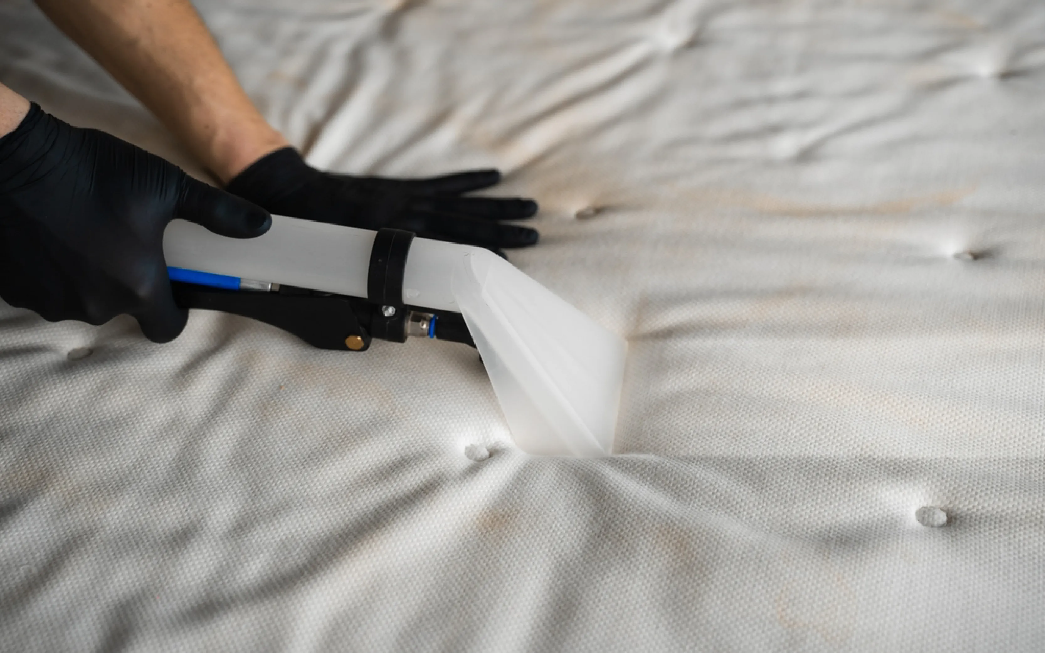 carpet cleaning in the westchester, carpet cleaning in the westchester, carpet cleaning the westchester, carpet cleaners in the westchester, carpet cleaners in the westchester, commercial carpet cleaning, commercial carpet cleaning in the westchester, the westchester rug cleaners, rug cleaning services in the westchester, same day carpet cleaning, same day rug cleaning