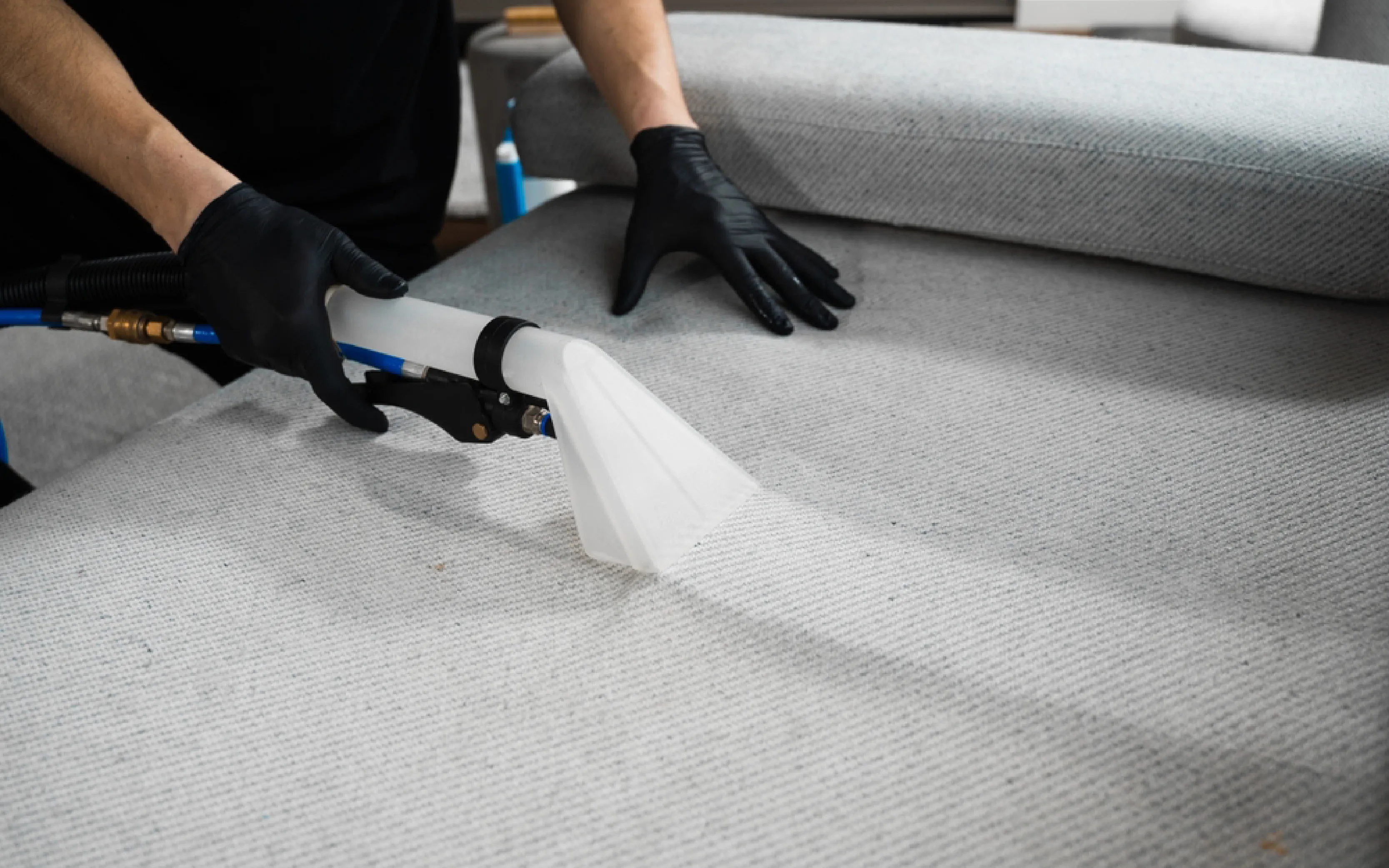 carpet cleaning in the westchester, carpet cleaning in the westchester, carpet cleaning the westchester, carpet cleaners in the westchester, carpet cleaners in the westchester, commercial carpet cleaning, commercial carpet cleaning in the westchester, the westchester rug cleaners, rug cleaning services in the westchester, same day carpet cleaning, same day rug cleaning